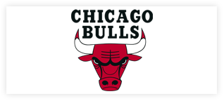 Chicago Bulls Logo